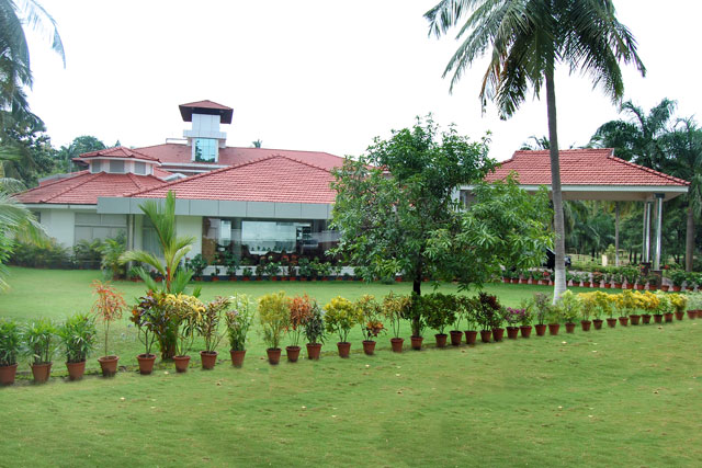 galimg1668.jpg 